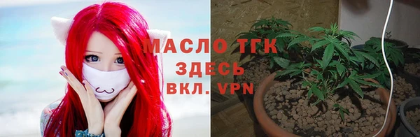 твердый Михайловка