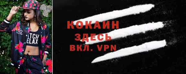 спиды Михайлов