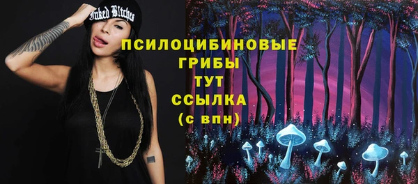 твердый Михайловка